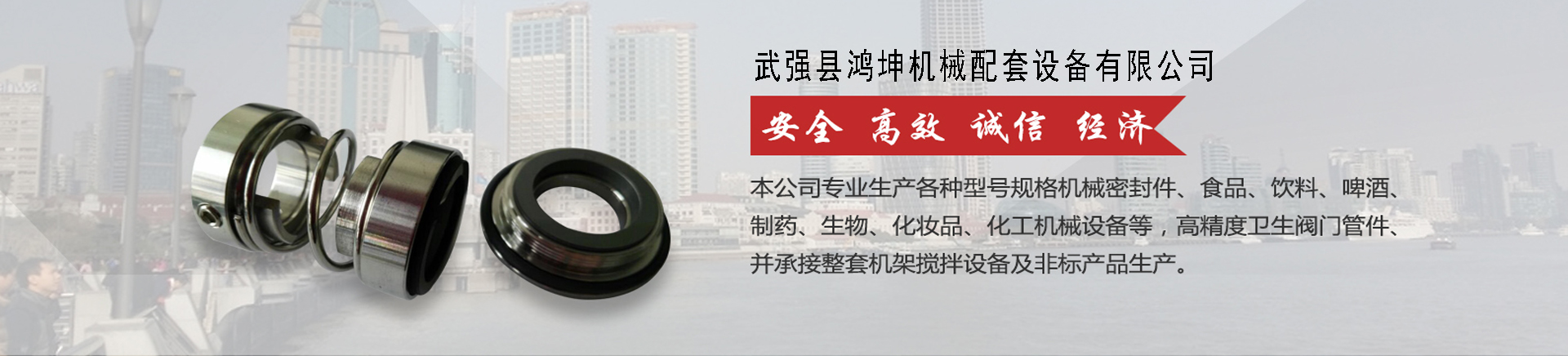 密封件廠(chǎng)家|機(jī)械密封|河北機(jī)械密封件_武強(qiáng)縣鴻坤機(jī)械配套設(shè)備有限公司 密封件廠(chǎng)家|機(jī)械密封|河北機(jī)械密封件_武強(qiáng)縣鴻坤機(jī)械配套設(shè)備有限公司